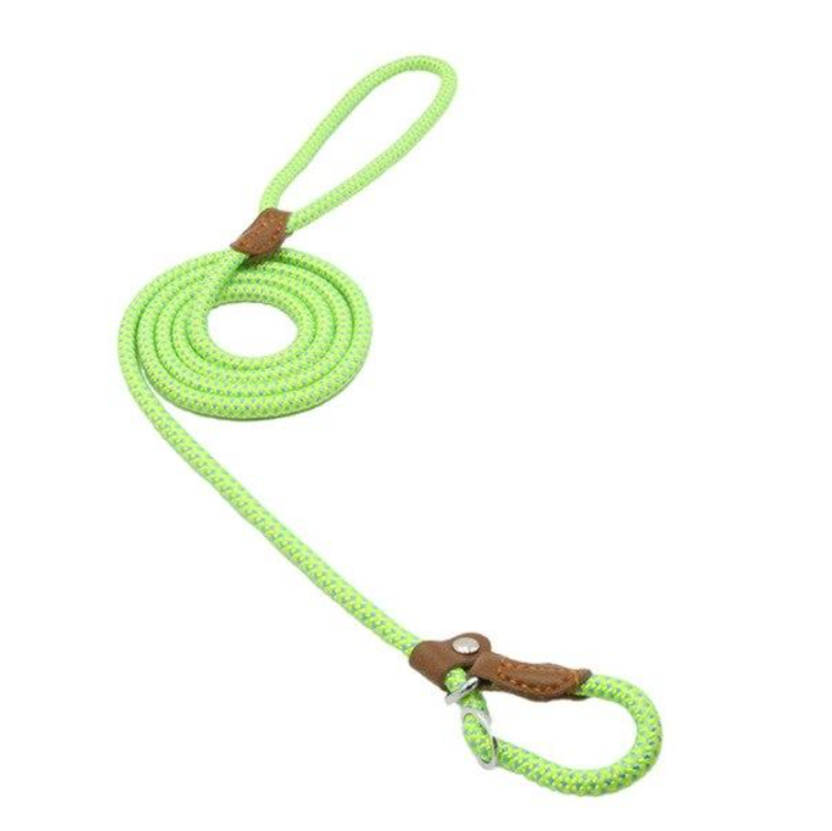 Lime green braided nylon slip lead dog leash with leather stopper