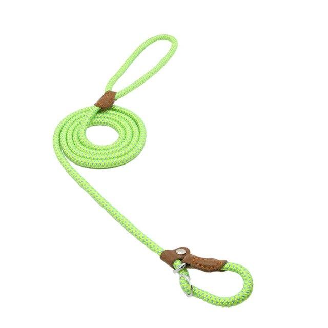 Lime green braided nylon slip lead dog leash with leather stopper shown upright