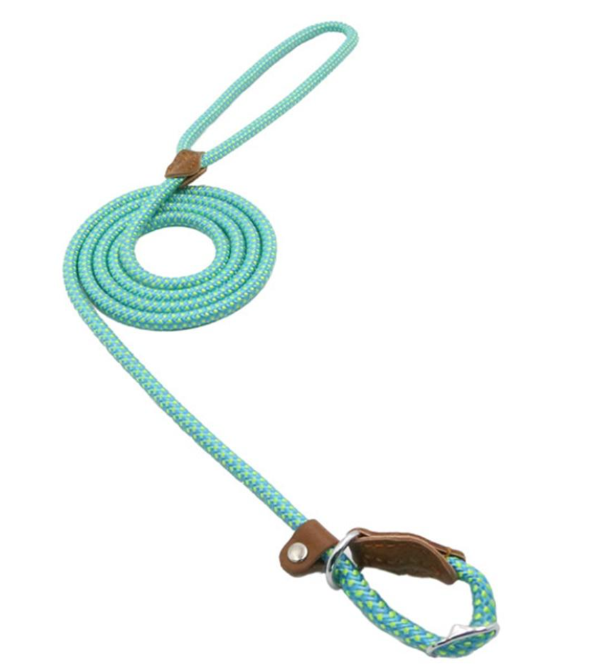 Teal braided nylon slip lead dog leash with leather stopper, front view