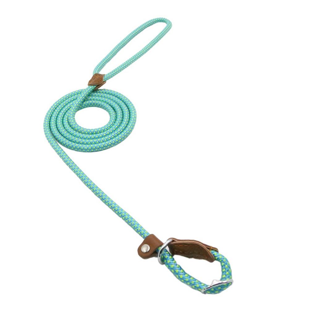 Teal braided nylon slip lead dog leash with leather stopper