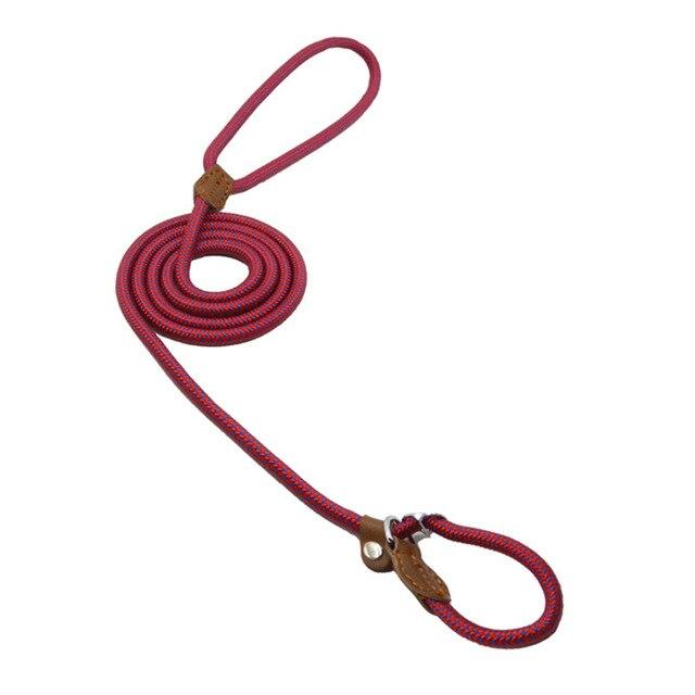 Maroon braided nylon slip lead dog leash with leather stopper shown upright