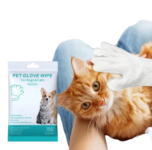 Hand in a pet cleaning glove wiping an orange cat's head