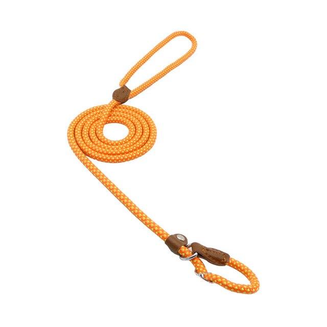 Orange braided nylon slip lead dog leash with leather stopper, product shot