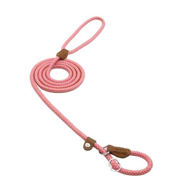 Pink braided nylon slip lead dog leash with leather stopper on a white background