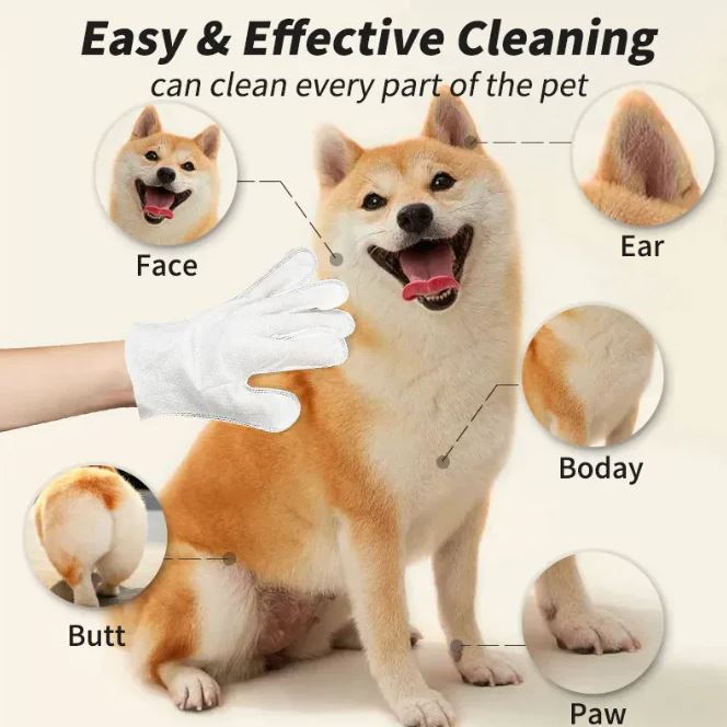 Pet cleaning glove wiping a dog's face, ears, body, paws and rear