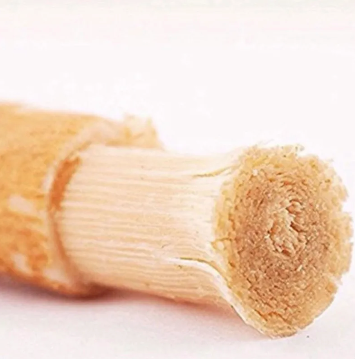 Close-up of a miswak tooth cleaning stick's frayed bristle end
