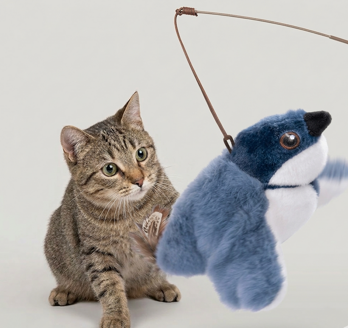 Tabby cat next to a blue flapping bird cat toy hanging from a string