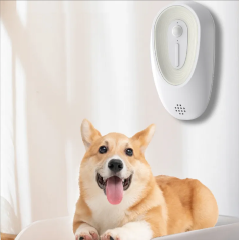 Corgi lying below a wall-mounted pet odor eliminator