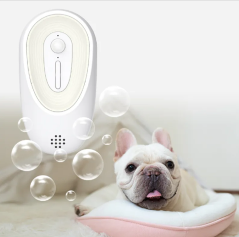 French bulldog under a pet odor eliminator releasing bubbles